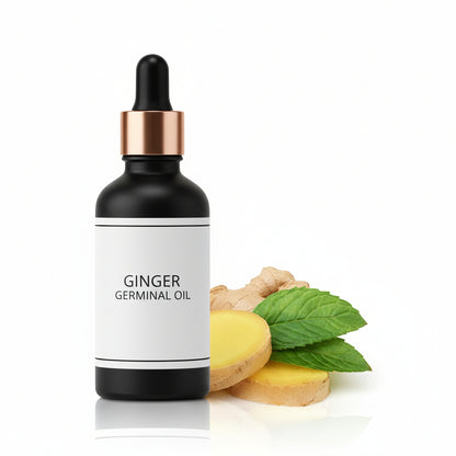 Ginger & Chamomile Hair Oil  ( Pack Of 2 )